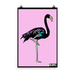 Flamingo Poster