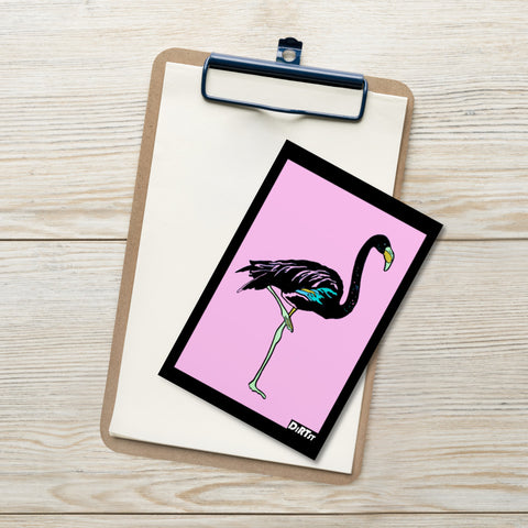 Flamingo Postcard